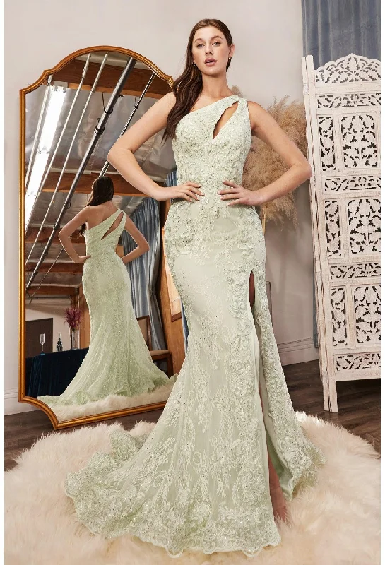 Bodycon dress with a peplum hemCinderella Divine CD973 One Shoulder Long Fitted Lace Prom Gown Bodycon dress with a peplum hemCinderella Divine CD973 One Shoulder Long Fitted Lace Prom Gown